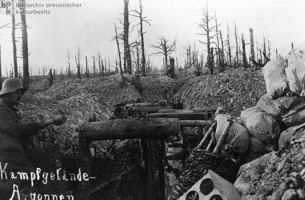 Das Kampfgelände in den Argonnen (1916)